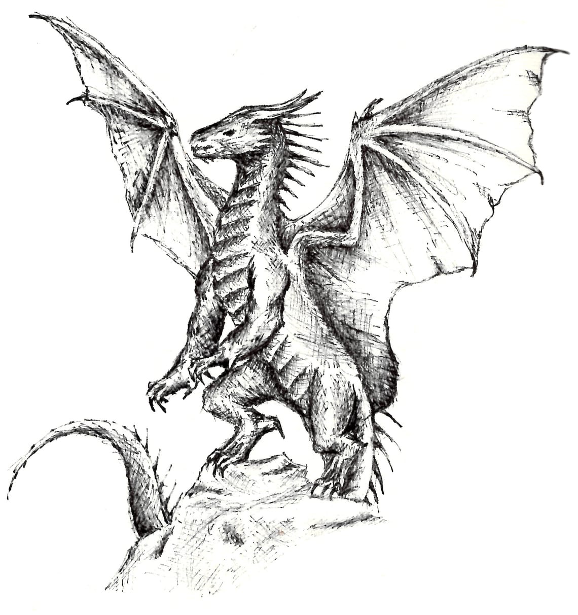 Bookwyrm's Lair